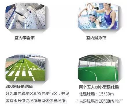 日本社区商业,日本社区商业业态