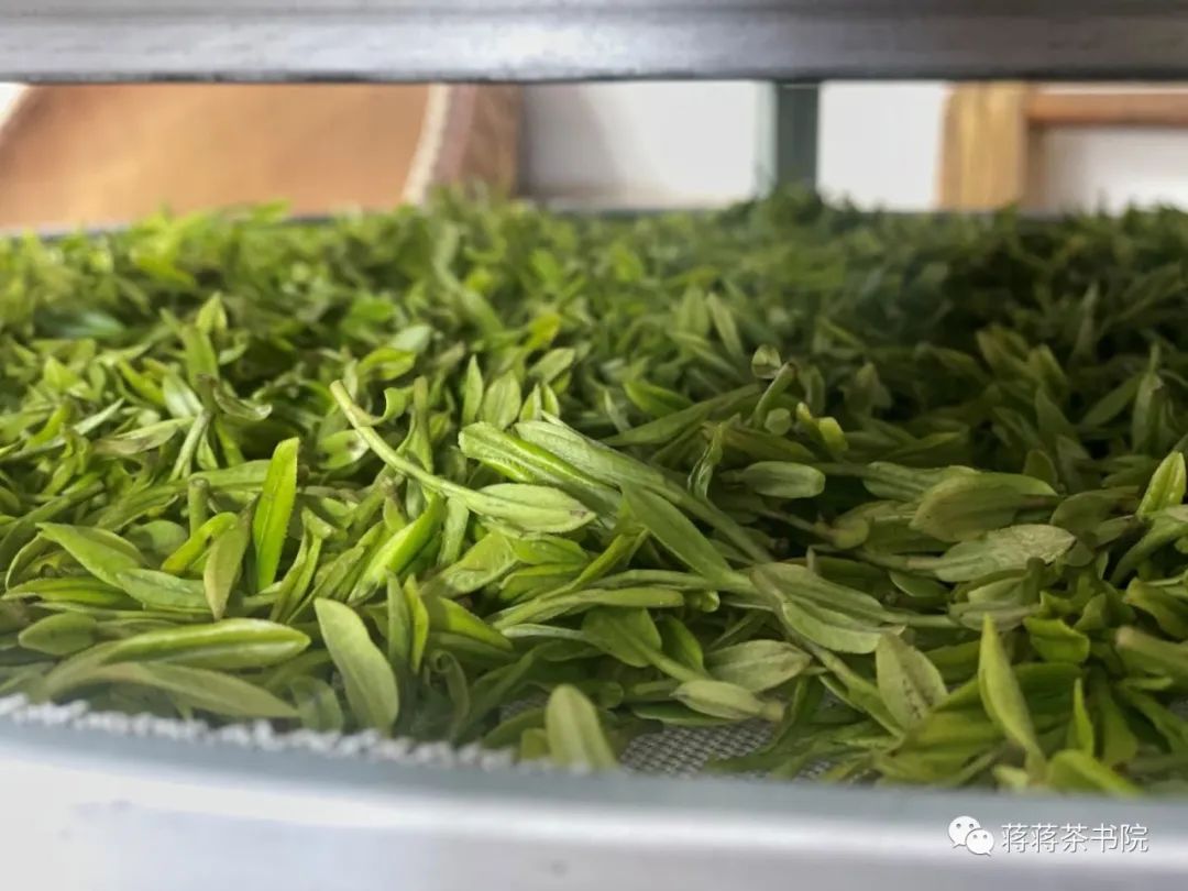 西湖龙井的文化故事,龙井问茶杭州西湖