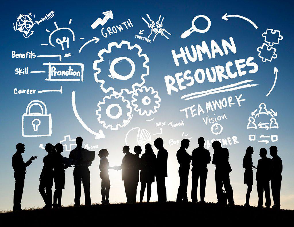 人力资源管理数字化案例,人力资源创新选题