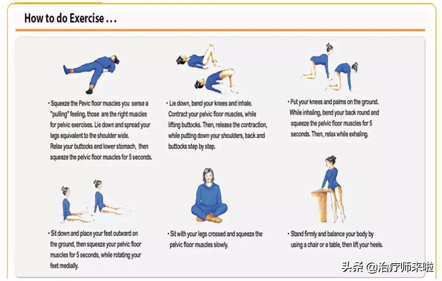 盆底功能障碍的康复——评估与治疗