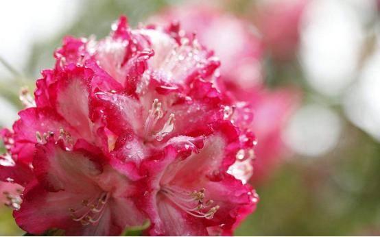 标点符号使用规则讲解,标点符号使用错误的一项是