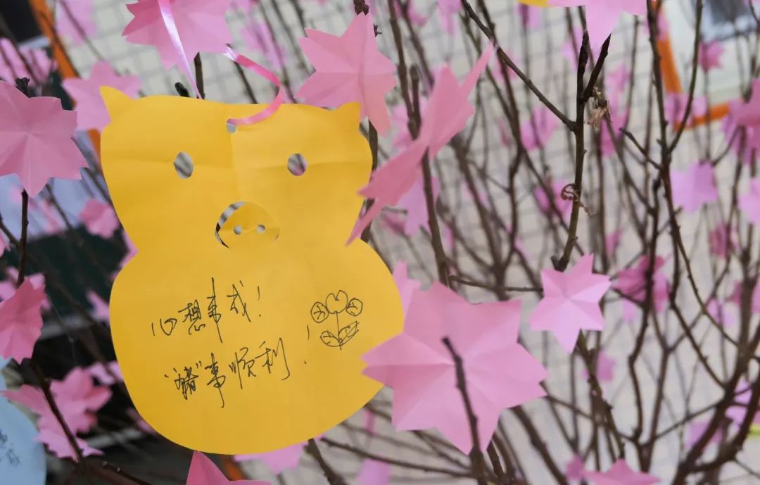 广州市海珠区海鸥幼儿园招生,海鸥幼儿园东银校区好不好