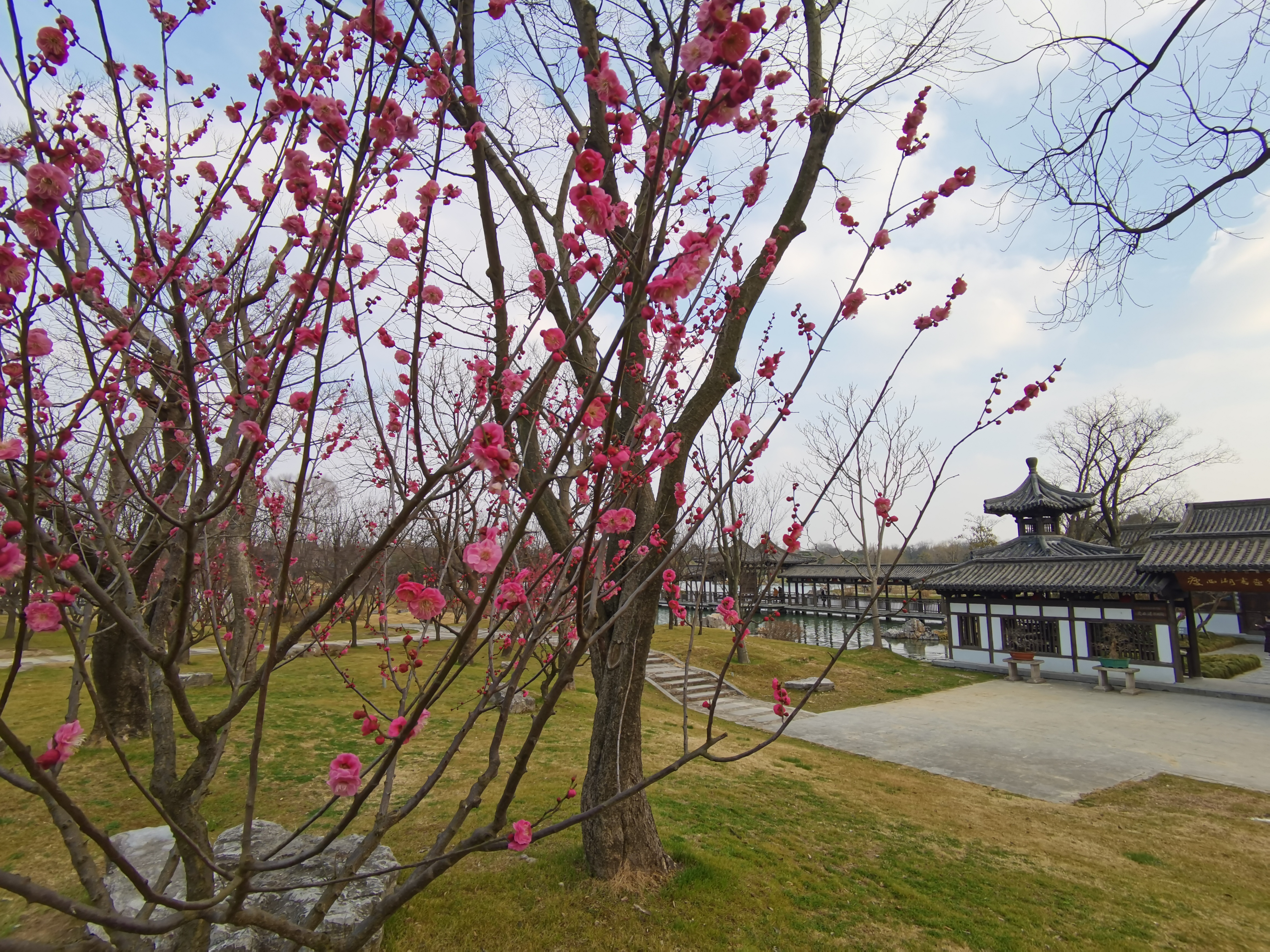 三月的瘦西湖到底有多美,瘦西湖景色到底有多美