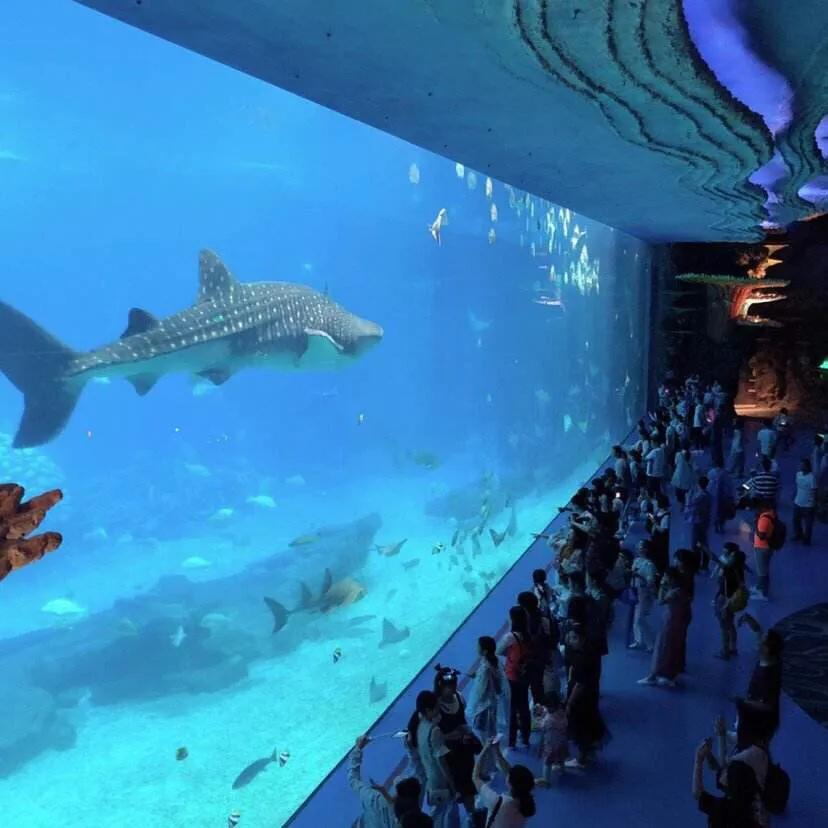 珠海长隆海洋王国美的像童话世界,珠海长隆海洋王国体验游玩