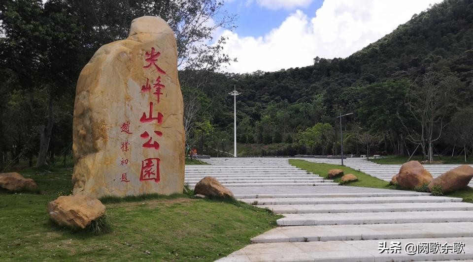 珠海公园森林风景,珠海公园美景视频