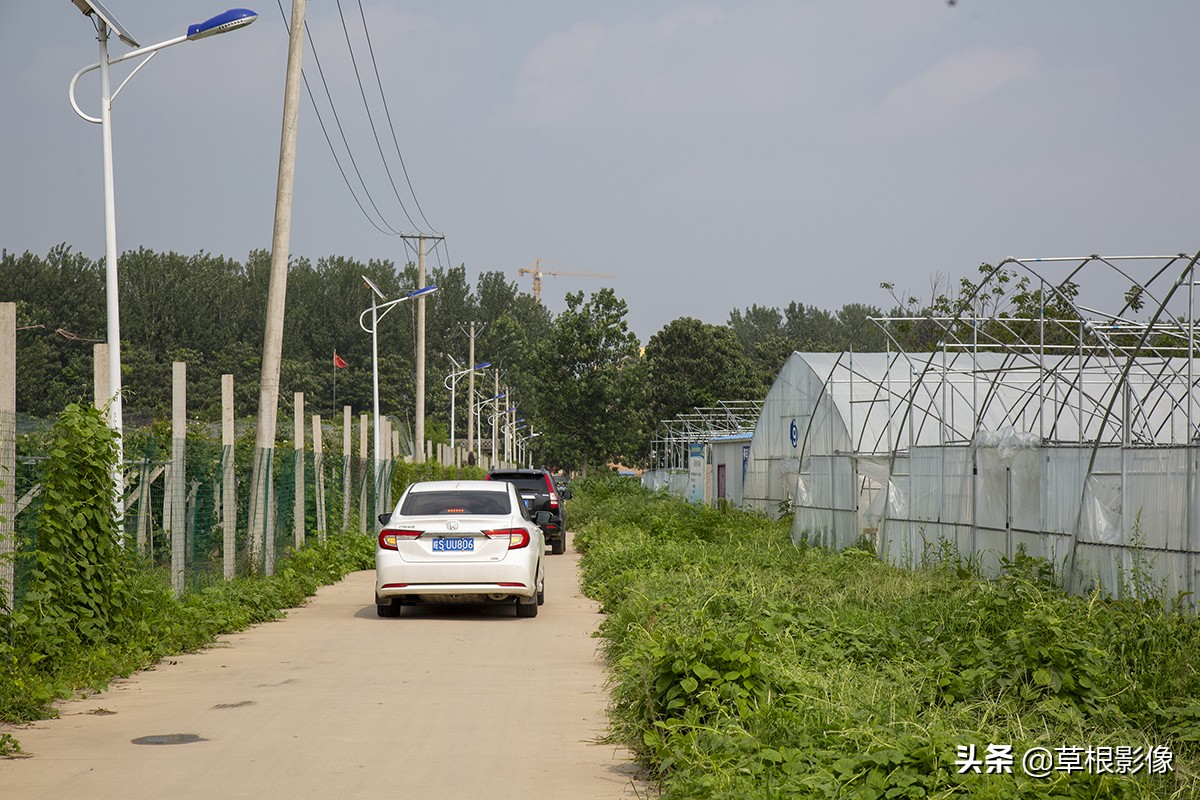 创业青年返乡养殖需要什么条件,90后大学生返乡创业成养殖行家
