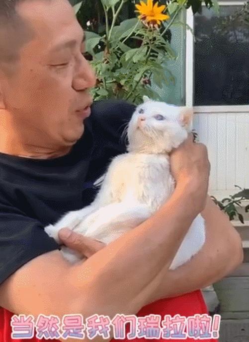 北京小公主靠吸猫血成百万大V，直播整容、大照骗、2年养死3只猫