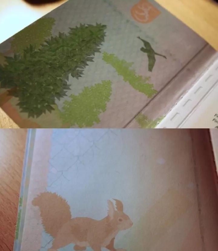 全球护照排名最后十个,全球十大顶级国际护照