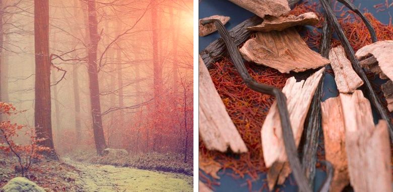 哪款男士香水女生最喜欢,魅力男士香水