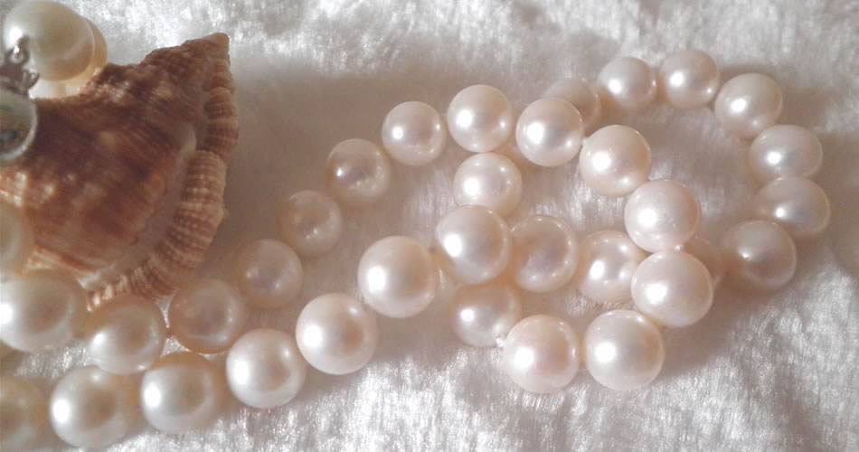 珍珠粉是公认的美白高手,珍珠粉真的能美白全身白么