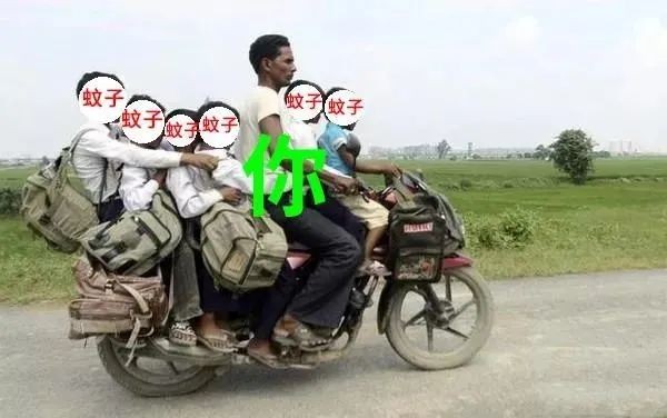 一年四季容易被蚊子咬是什么原因,被蚊子咬了正确打开方式