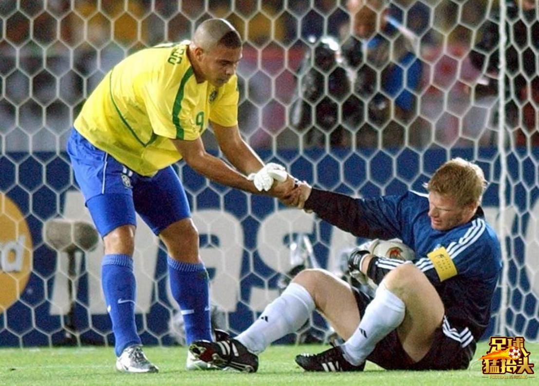 坚韧不拔顽强不屈的狮王,坚韧不拔永不放弃的狮王