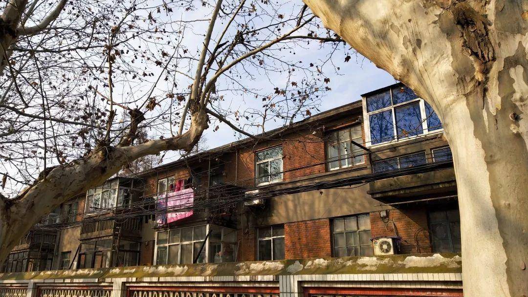 那些年你不能错过的rose的翻唱,那些年你不能错过的美食