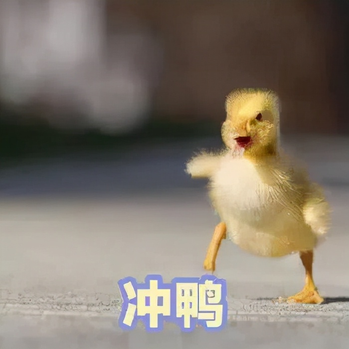 简单文案撰写方法有哪些,把握文案精髓摆脱低效写作困境