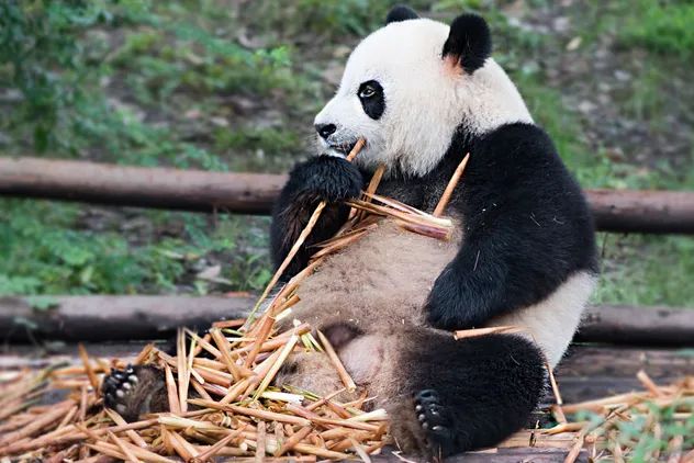 终于等到这一天！长沙酒吧、KTV、餐饮、商场，都可以去了！还有短程旅游，可以去这些地方！