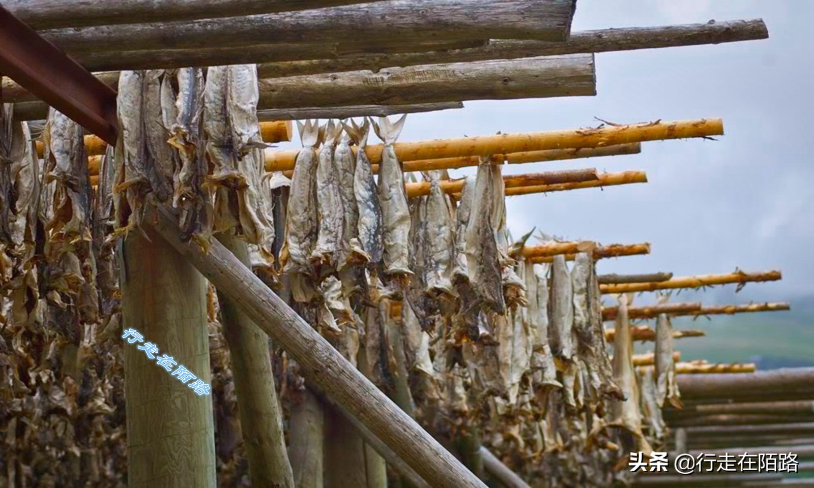 砸锅卖铁上一句,砸锅卖铁也要供你上学的励志语录