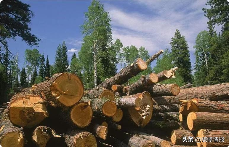 高档永不过时的家具推荐,高颜值耐用不过时家具