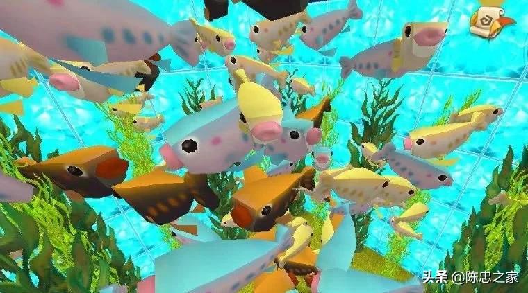 迷你世界怎么样才能养鱼,迷你世界怎么才能在水里养鱼