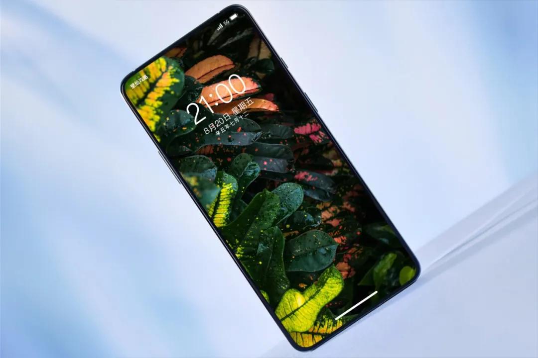 文艺素雅治愈植物手机壁纸,唯美治愈系手机壁纸植物