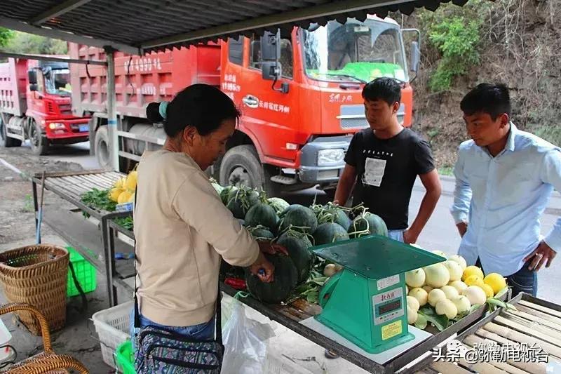 弥勒千亩西瓜熟了！黄心瓜、红心瓜、小香瓜…你喜欢哪种？