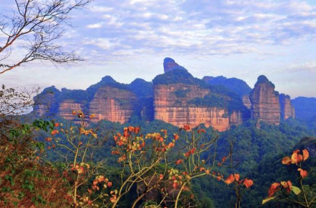 青岛八大关景区属于什么区,青岛八大关是免费景区吗
