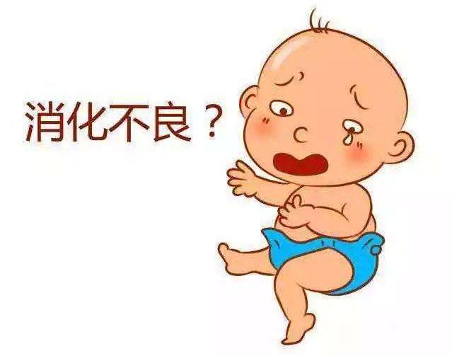 消化不良的宝宝适合的羊奶粉推荐,羊奶消化不了的宝宝喝什么奶粉