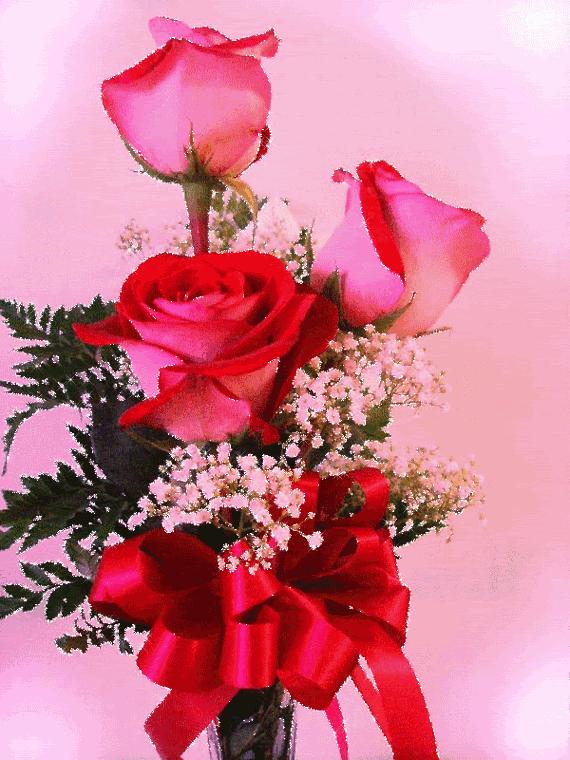 5.20到了,520朵玫瑰送给群里所有的人!越早打开越好！