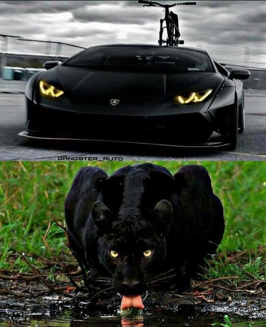 大众甲壳虫改七星瓢虫,甲壳虫设计理念