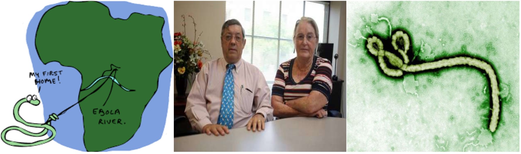 瑞德西韦治新冠病毒新药,抗新冠病毒新药瑞德西韦完成临床