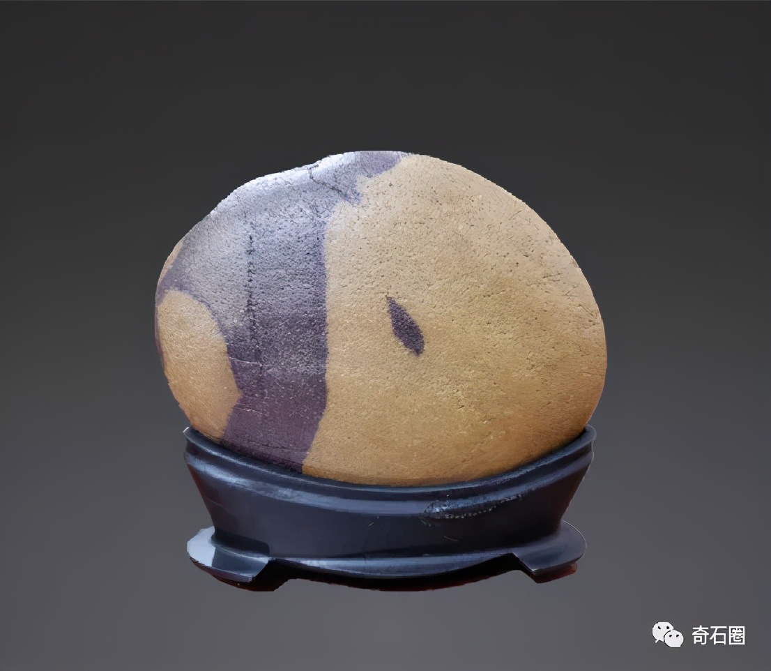 “一见倾心的石头”入围作品展播