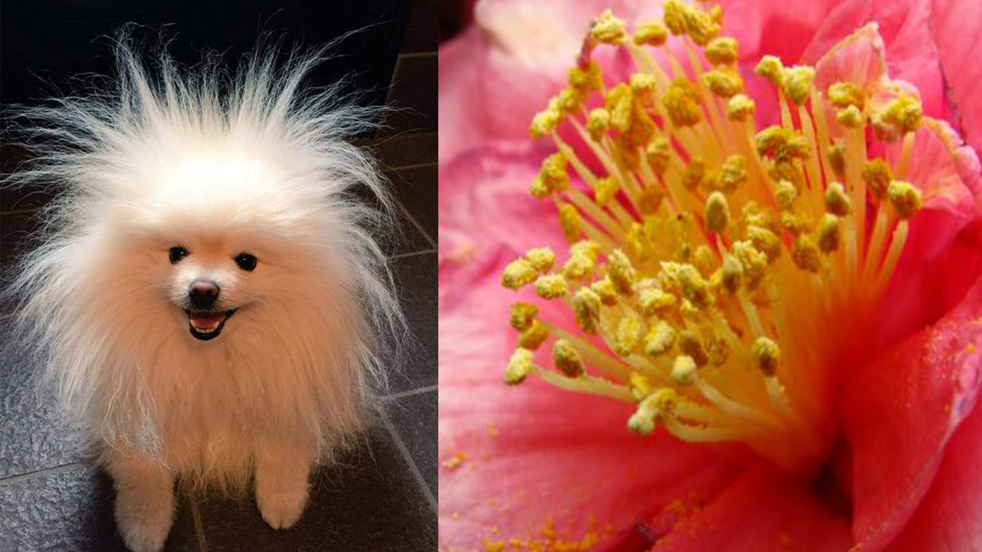 过敏性皮肤病需要吃什么药治疗呢,过敏性皮肤病的中医治法