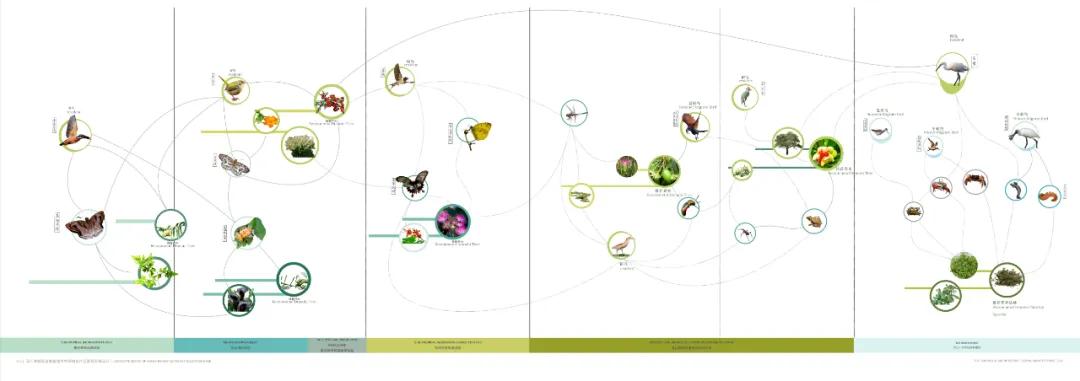深圳湾超级总部基地绿化,深圳湾超级基地