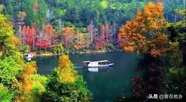 本港台播放过的动画,本港台曾经推出的纪录片