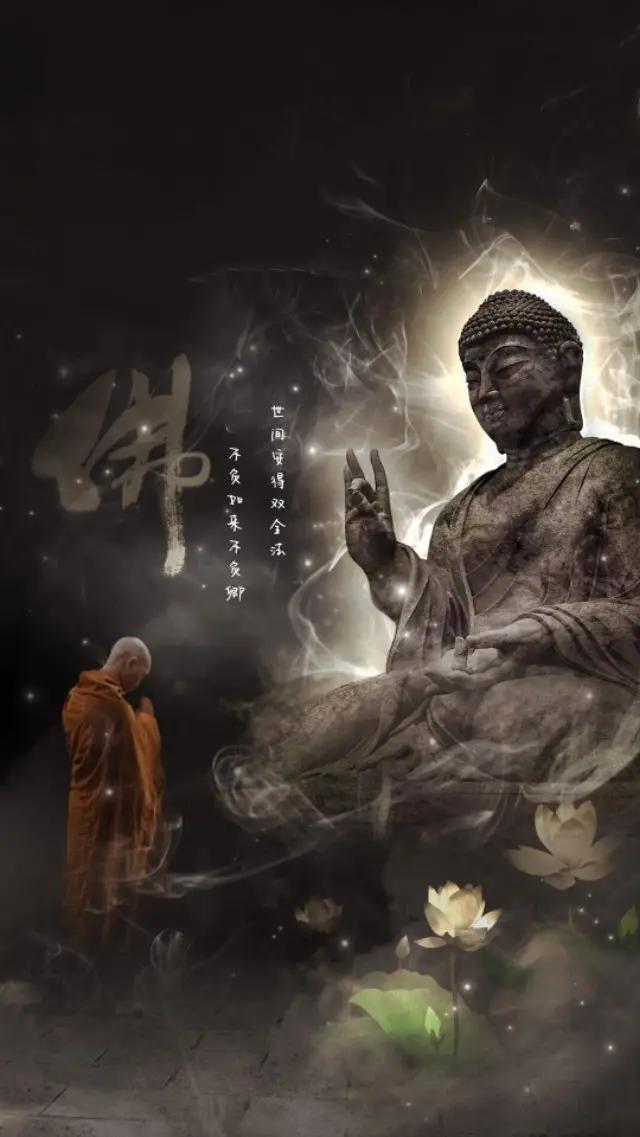 手机壁纸一花一世界一叶一菩提,一叶一菩提壁纸