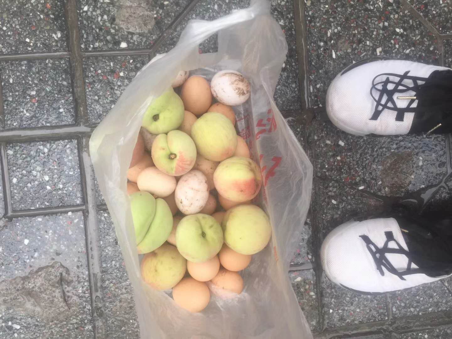 闲鱼上被骗钱要回的可能性大吗,朋友在闲鱼被人骗钱了该怎么办