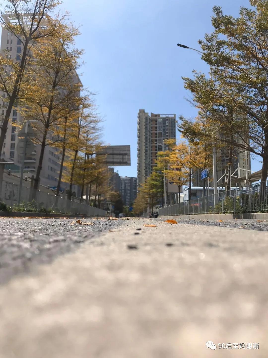 2020.02.29日记丨《孕前检查》