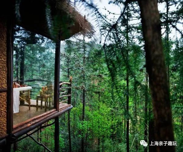 假期给大家送个福利,假期超强福利分享礼包