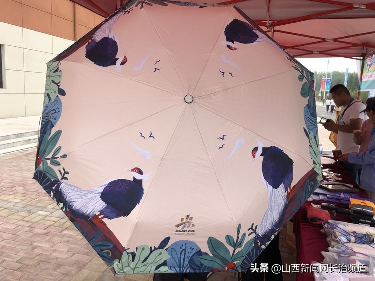 二青会有什么纪念品,二青会的纪念品