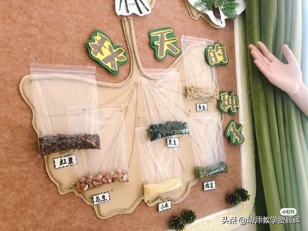 幼儿园大班秋分习俗活动,幼儿园秋分节气主题活动教案