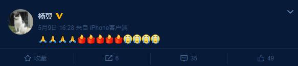 上海申花张阿姨,张阿姨去世