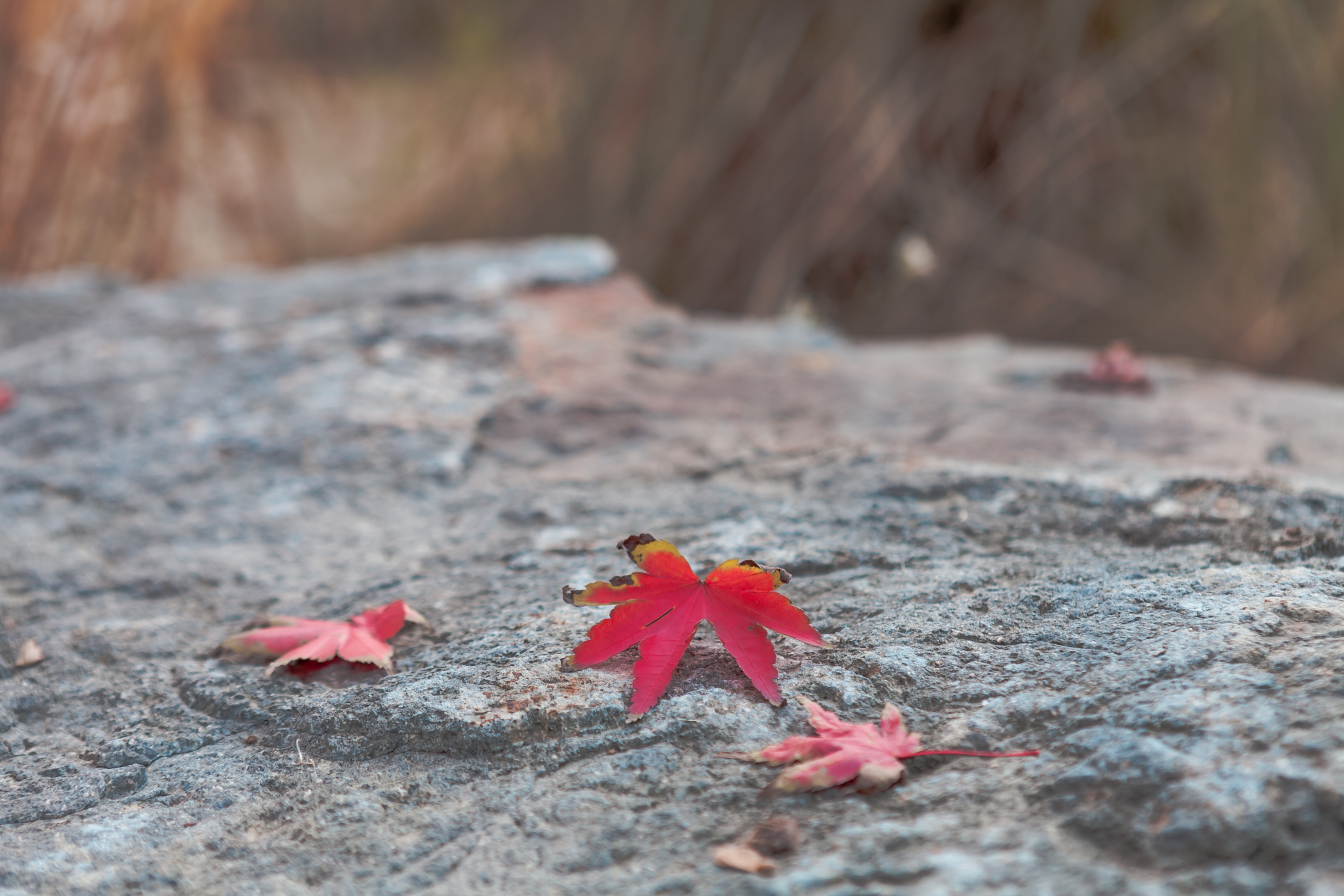 秋天的无锡美的醉人，去无锡旅行，这些好地方不要错过了