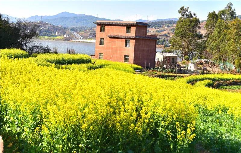 瞧！这花花世界谁不爱