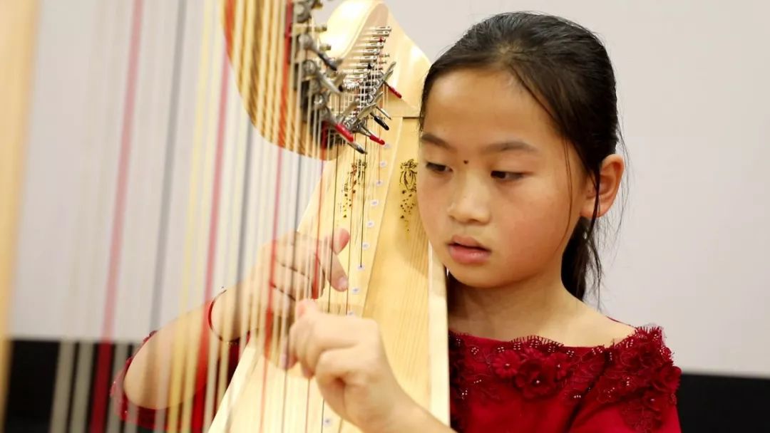 世界上最古老的乐器是什么乐器呢,学世界最古老的乐器