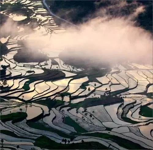 茗岙梯田航拍中国,茗岙梯田仙境