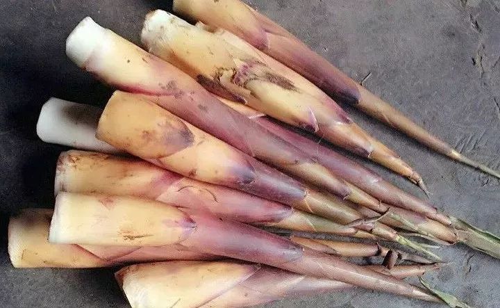 四月天山上春笋鲜,人间四月天春笋鲜