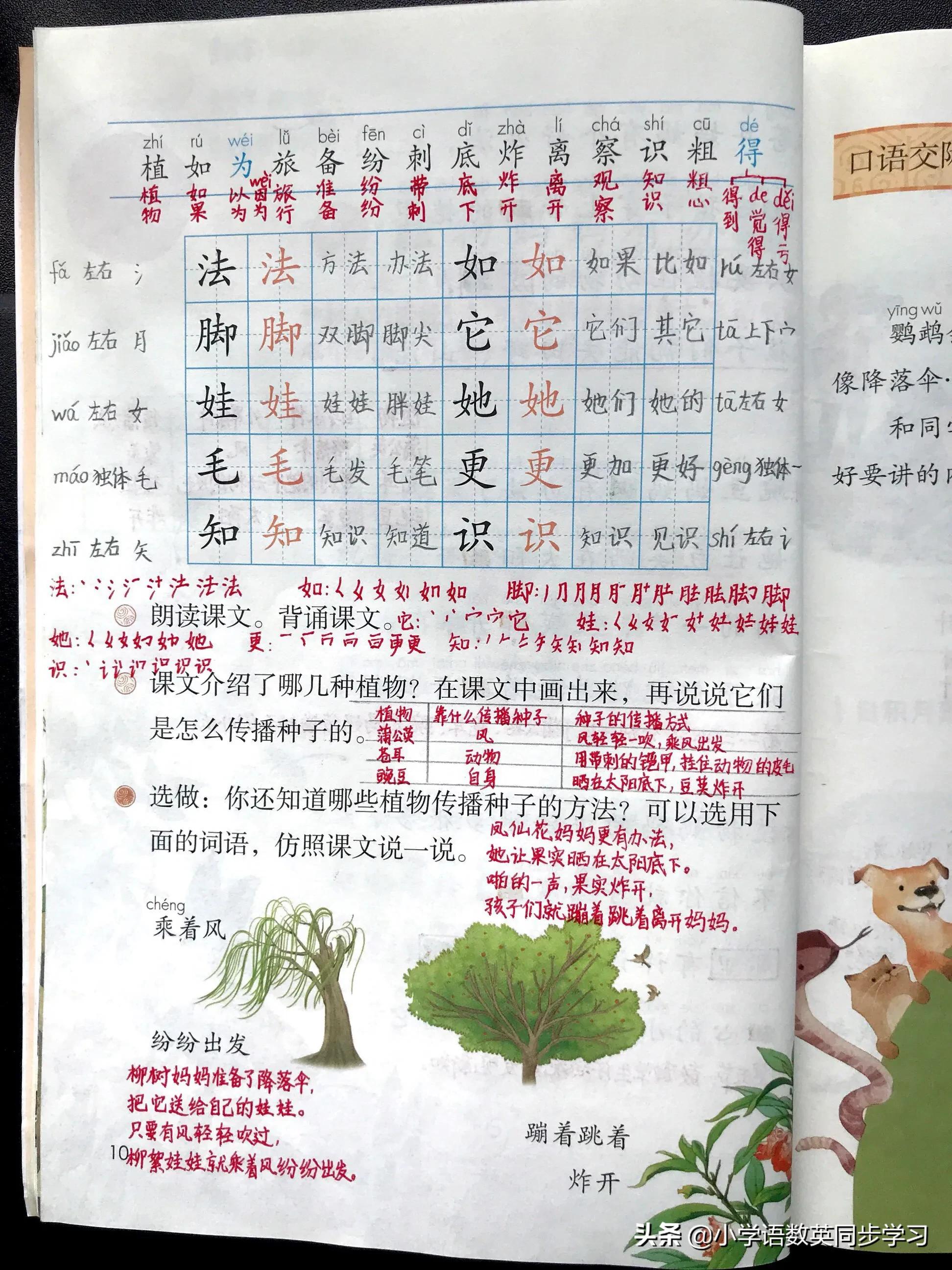 二年级第三课植物妈妈生字组词,二年级上植物妈妈靠什么传播种子