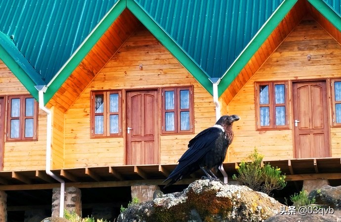 鏈涙棤杈归檯鐨勬捣,鏈涙棤杈归檯
