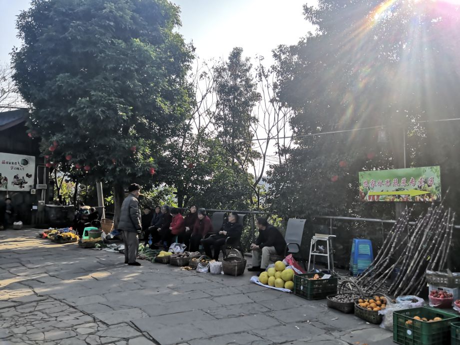 成都周边休闲圣地推荐,成都附近游玩推荐一日游