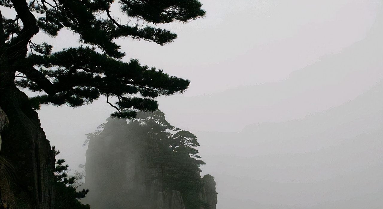 内部审计应该分析哪些财务数据,审计基础与实务银行存款审计