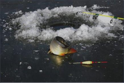 留住童年美好的亲子时光,亲子时光童年的回忆